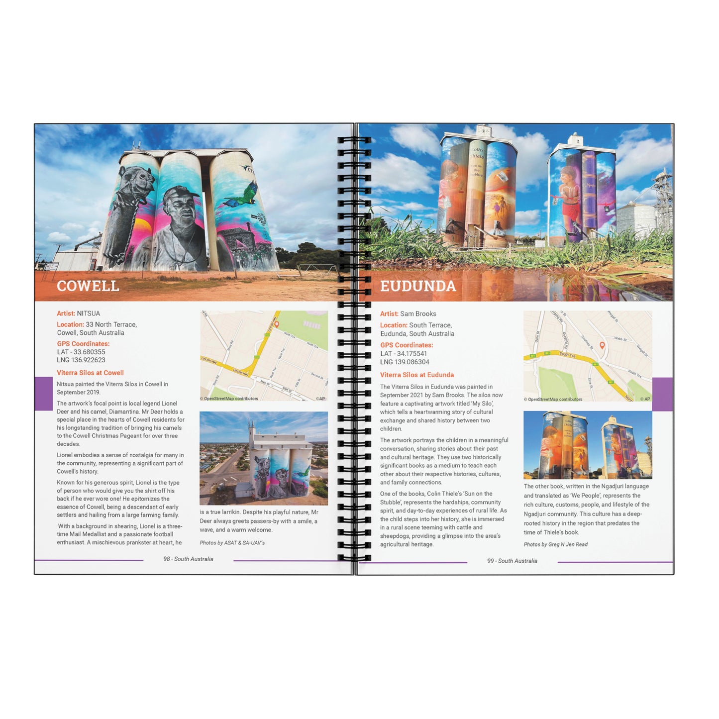 Silo Art Ultimate Guide Plus 2x free Drink Coolers