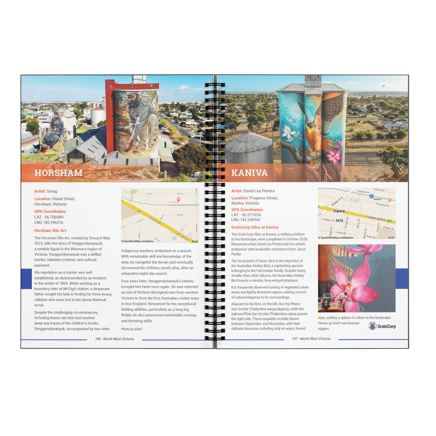 Silo Art Ultimate Guide