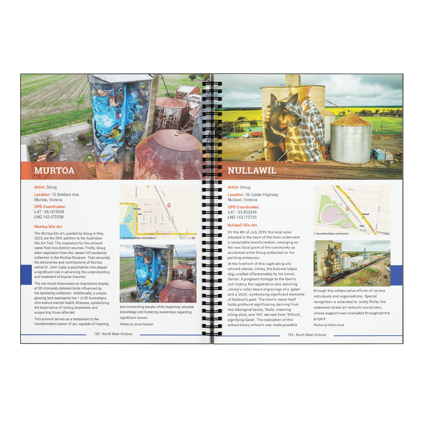 Silo Art Ultimate Guide Plus 2x free Drink Coolers