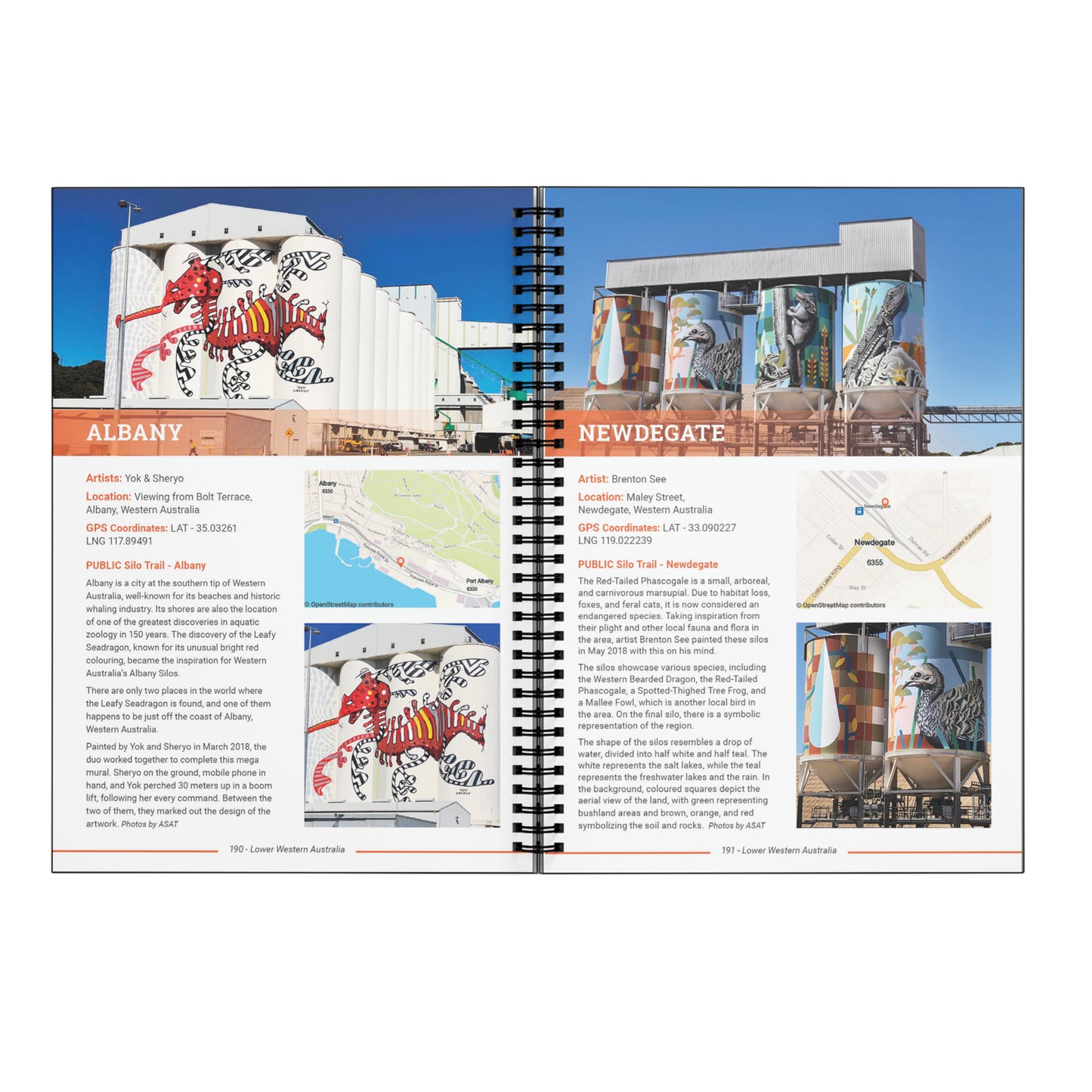 The Ultimate Guide - With FREE 2024 Mini Silo Art Calendar